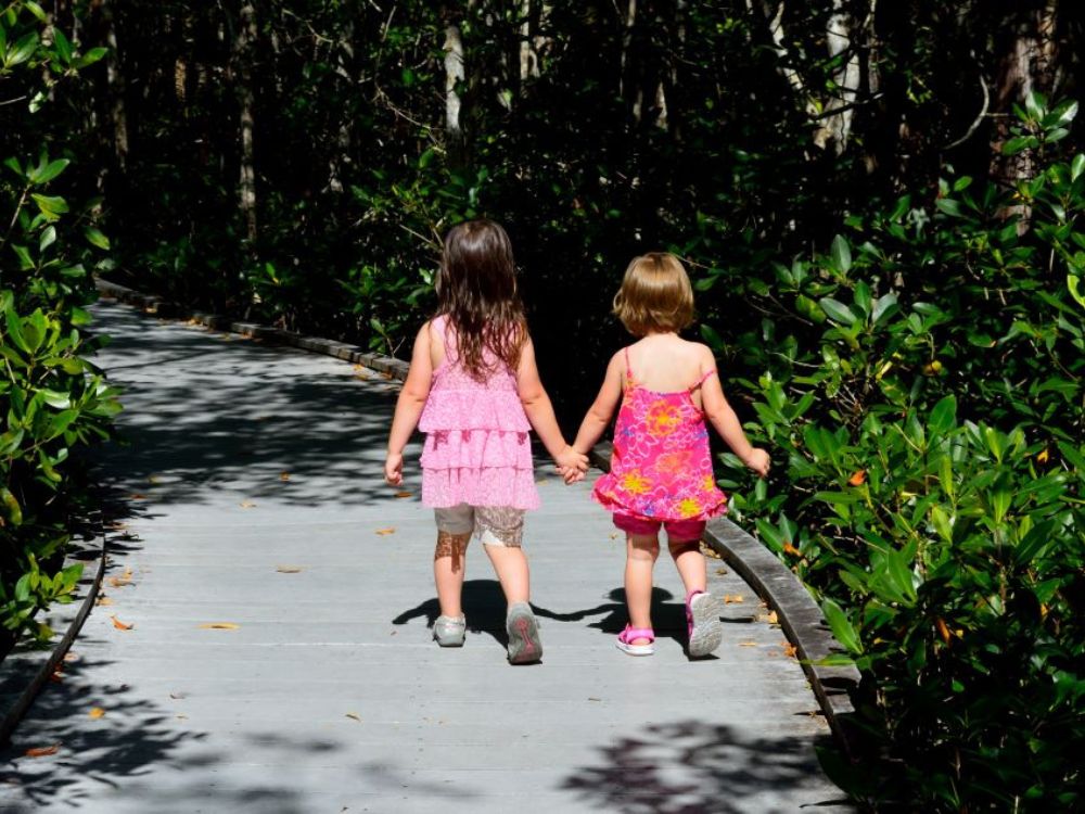 Eco Park - boardwalk